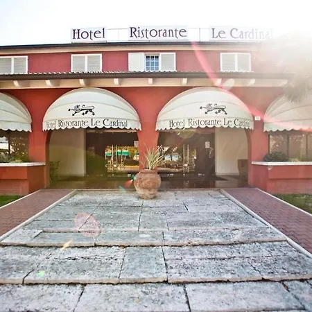 Le Cardinal Bastiglia